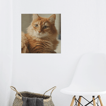 Cargar imagen en el visor de la galería, Impresion de foto de un gato sobre madera 
